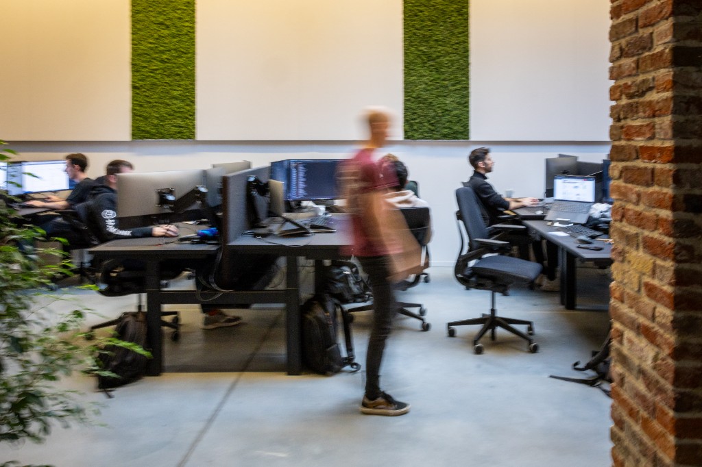Team working at the Sparklink office